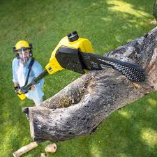 Best Aeration Services  in The Homesteads, TX